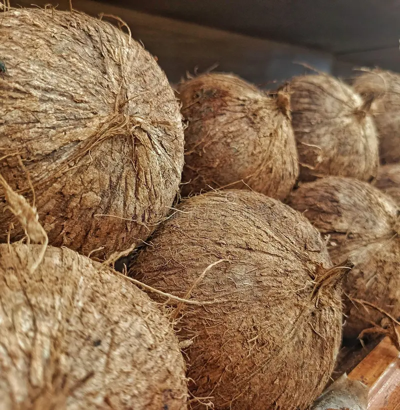 Fresh coconuts for wholesale and foodservice programs