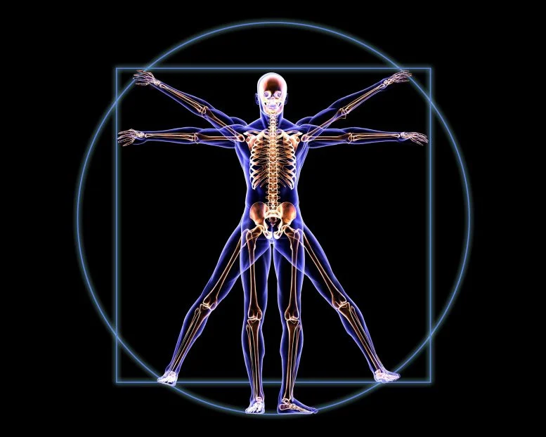 Engineering Around the Human Body