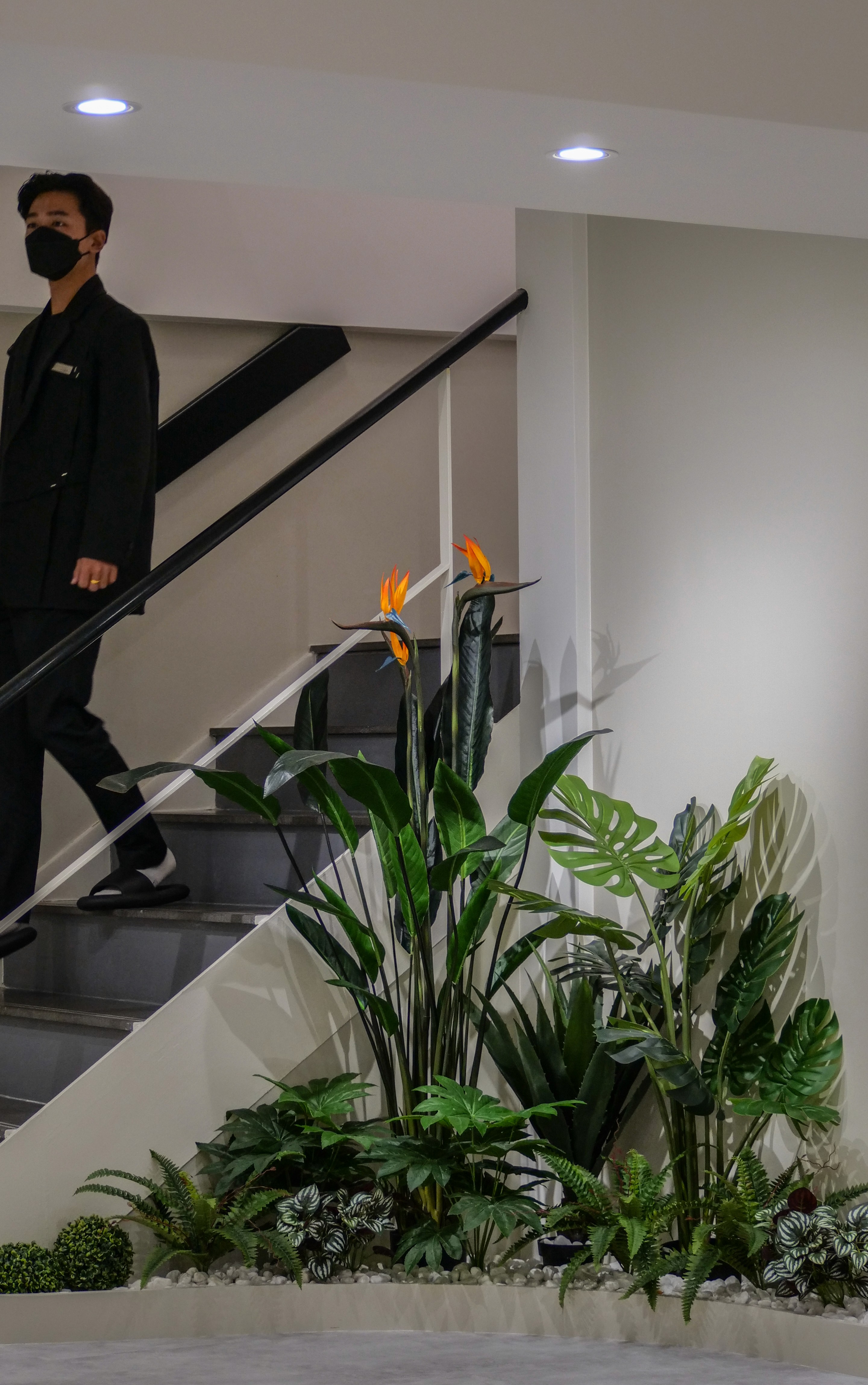 Project Gallery Image for 50% width of the screen #2