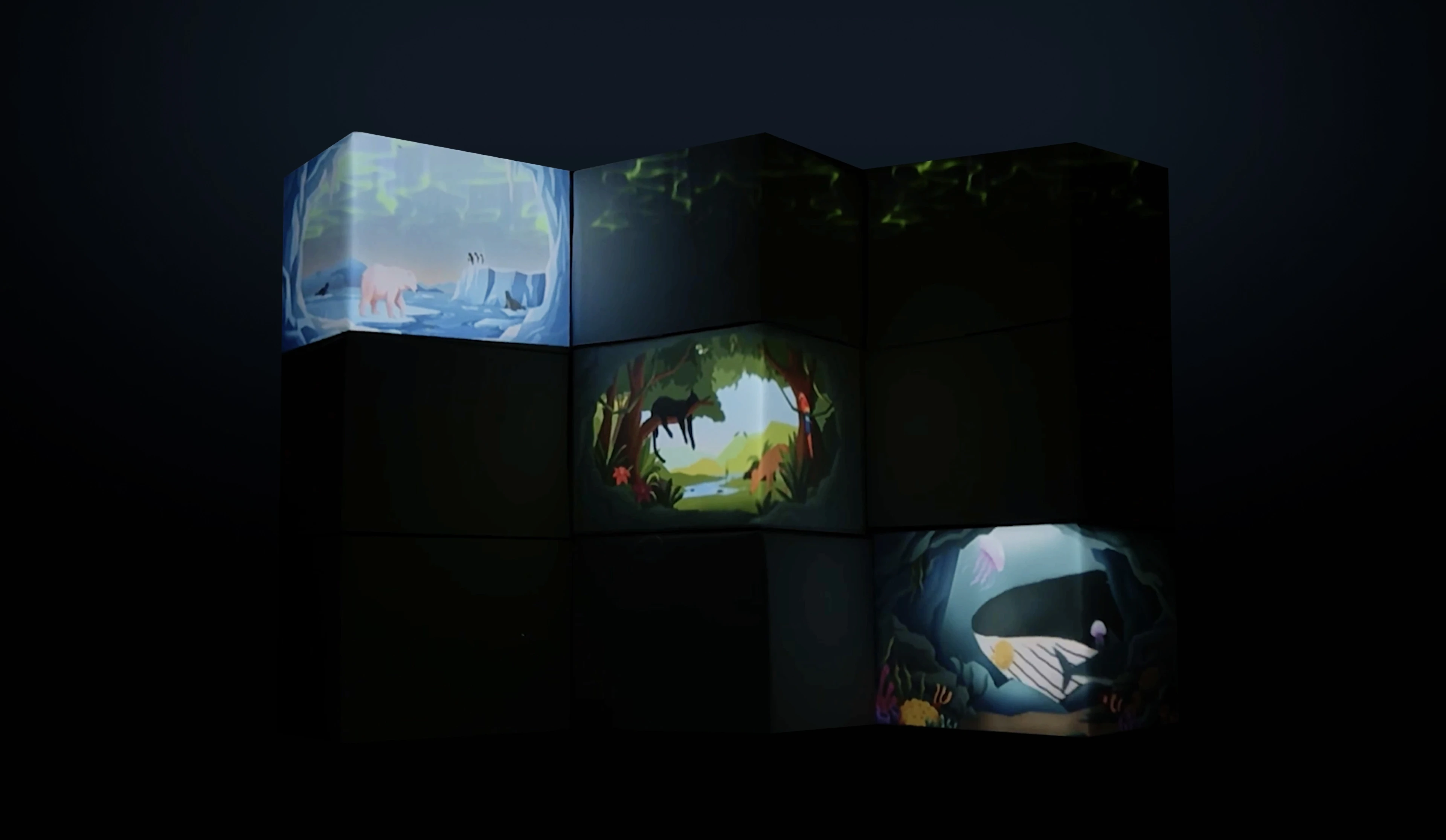 Animal habitat physical projection mapping on presentation day.