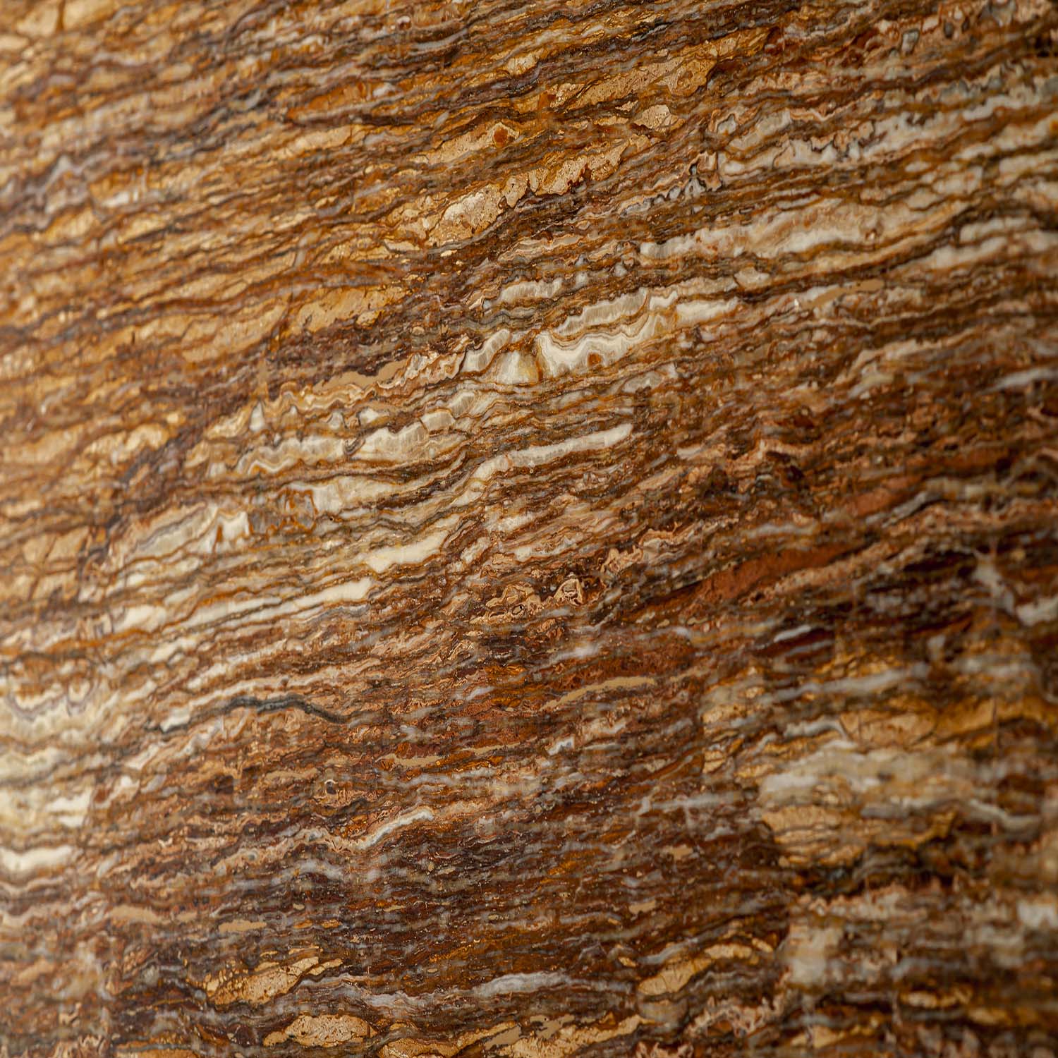 Walnut VC Travertine Surface Detail