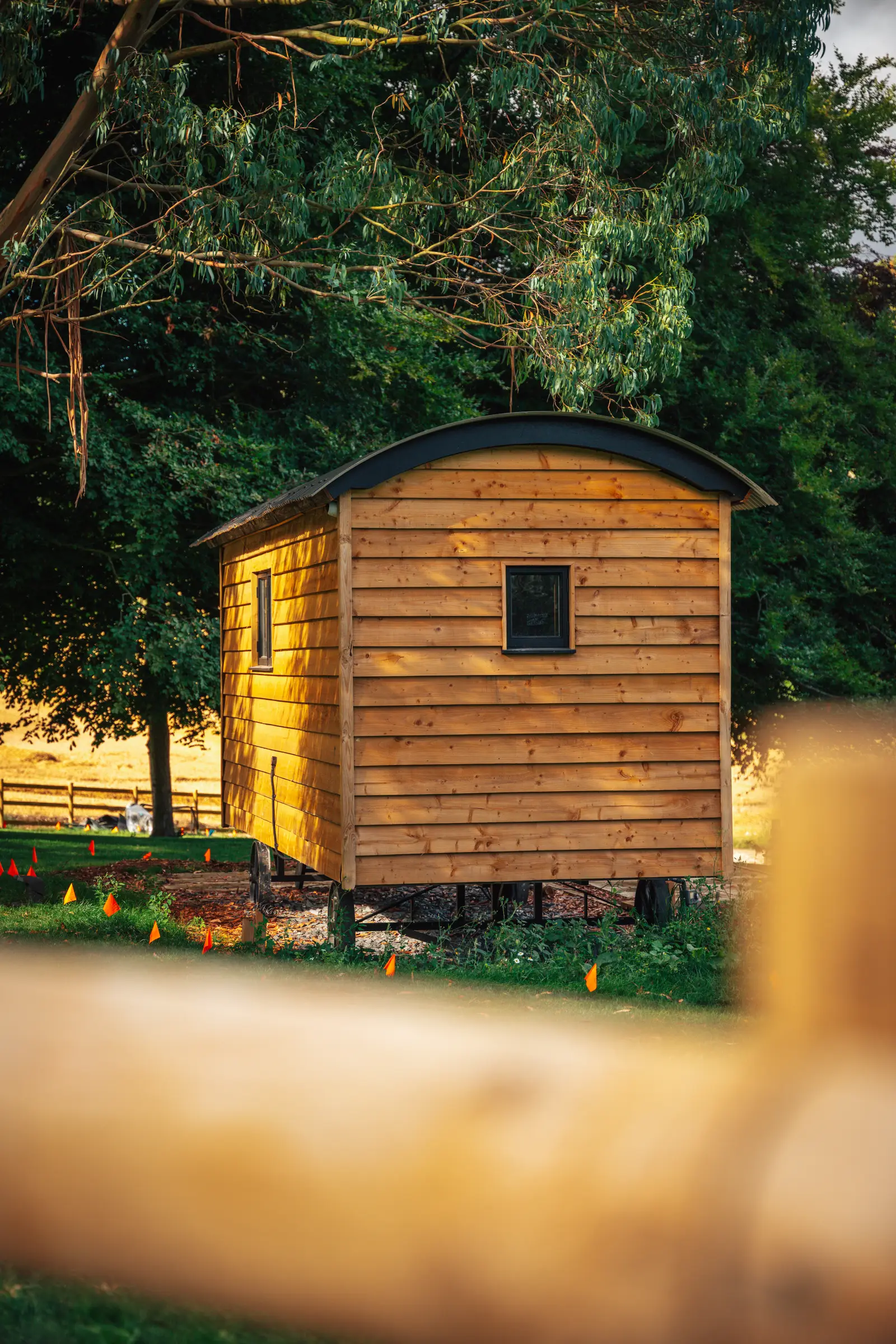 Funky Huts