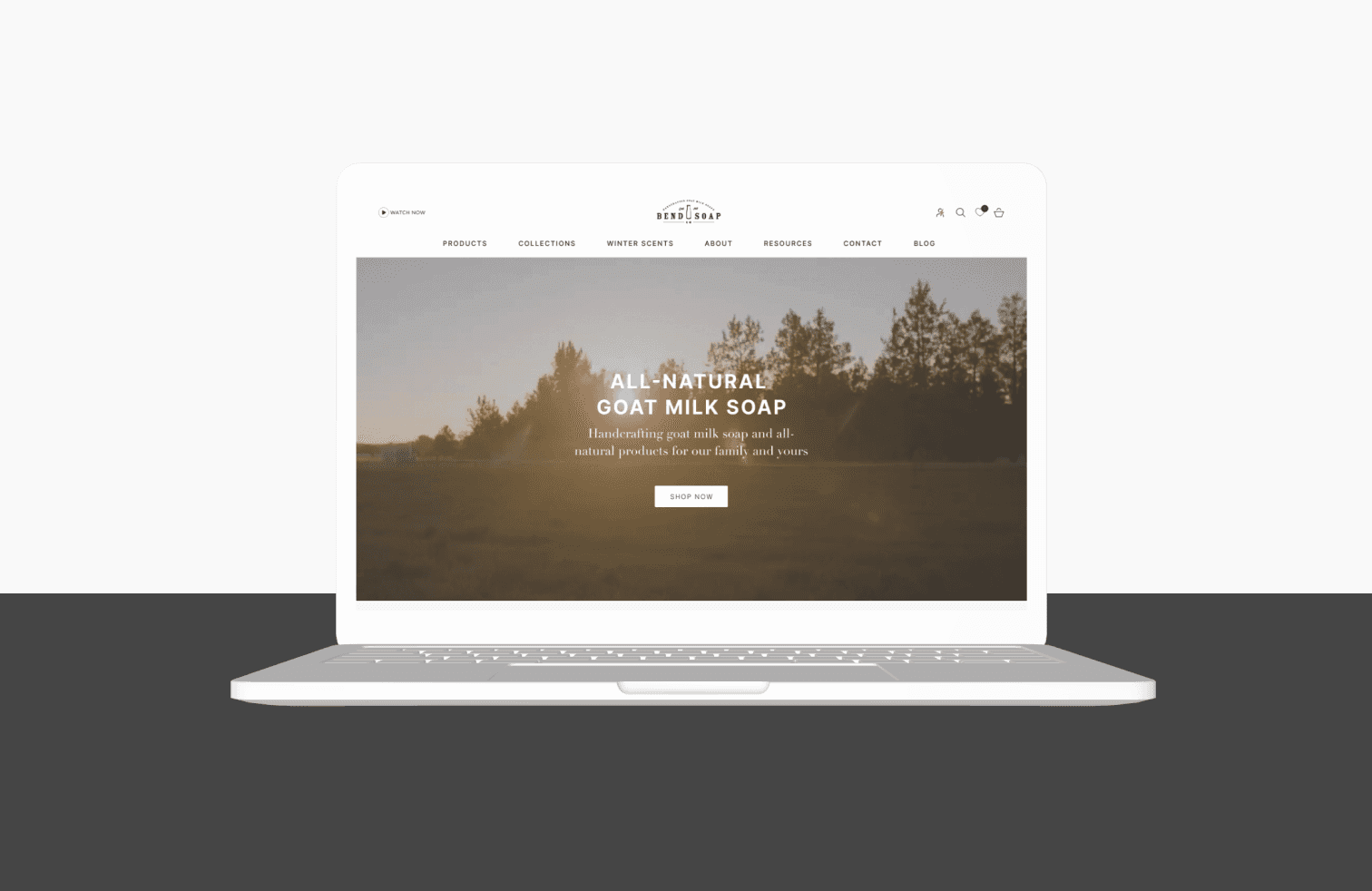 Bend Soap logo preview main