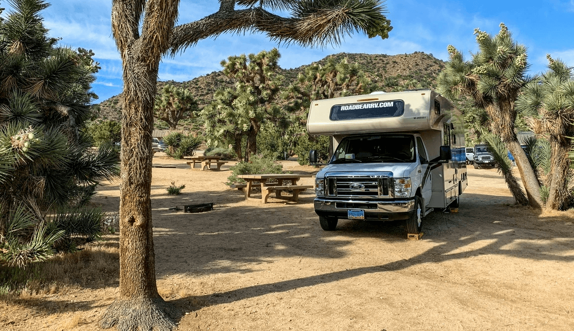 A white motorhome parked at a desert campsite surrounded by Joshua trees and wooden picnic tables.