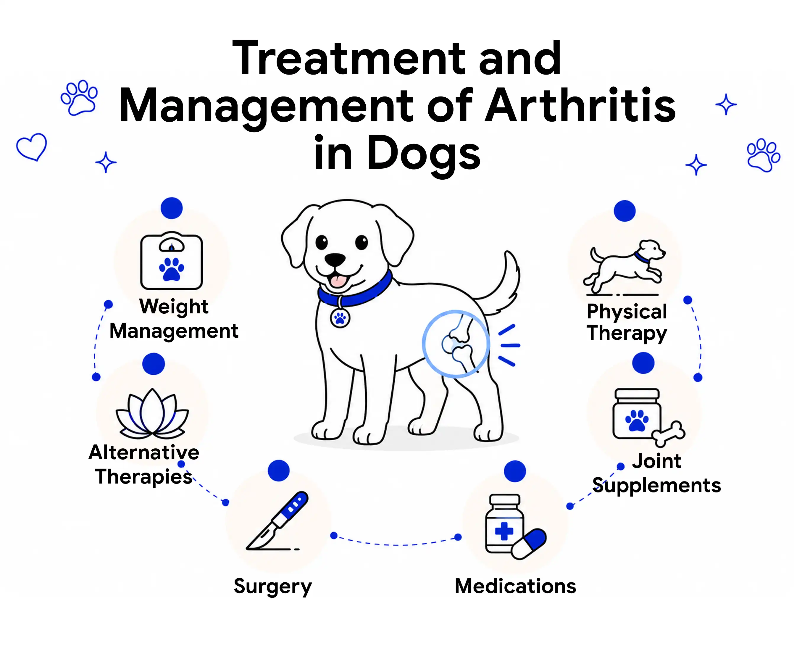 Treatment and Management of Arthritis in Dogs