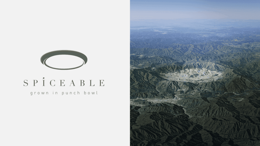 logo with oval shape and typography on white background on the left side and natural landscape on the right side