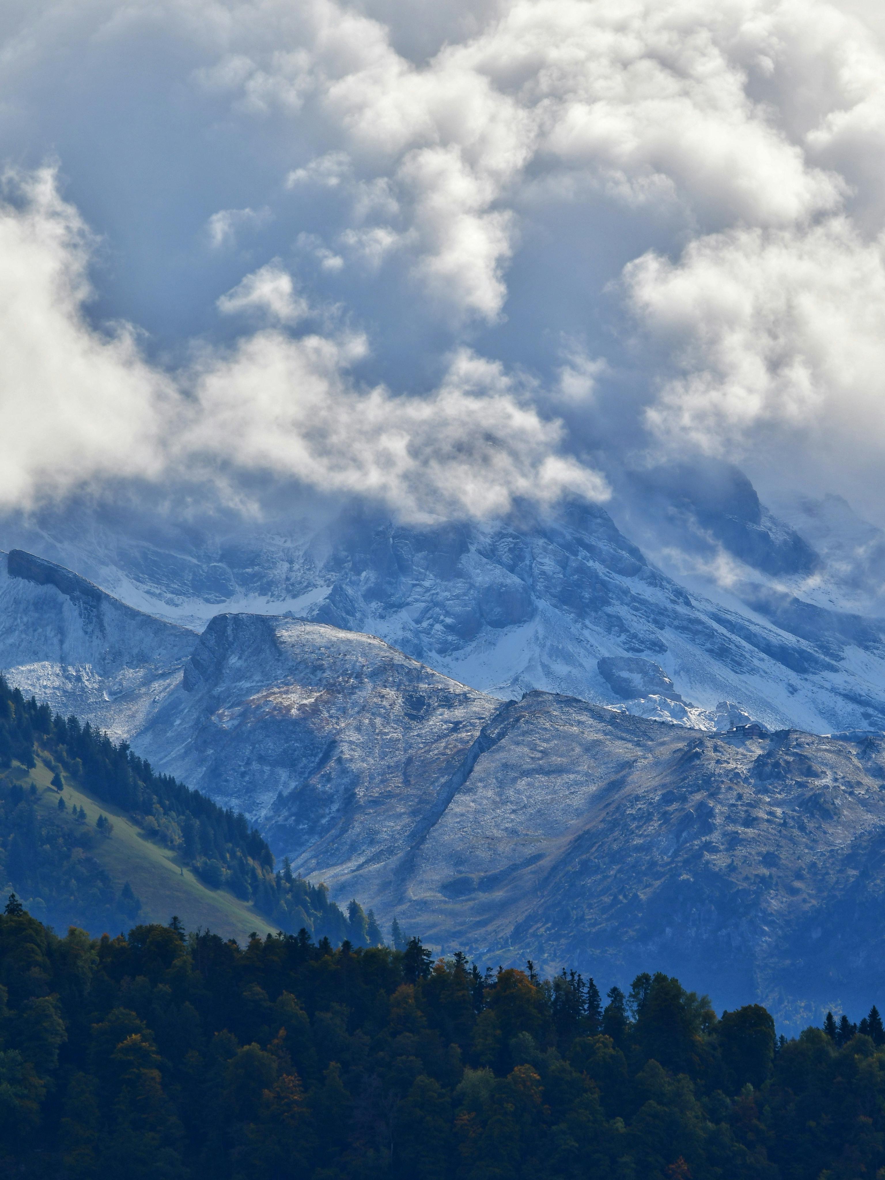 Close-up of a dark green leaf showing its textured surface and central vein against a muted background.
