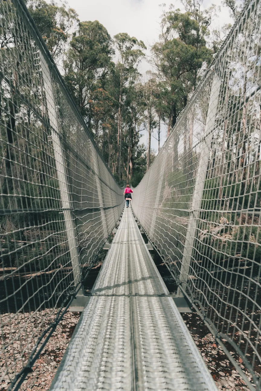 Tahune Swinging Bridge