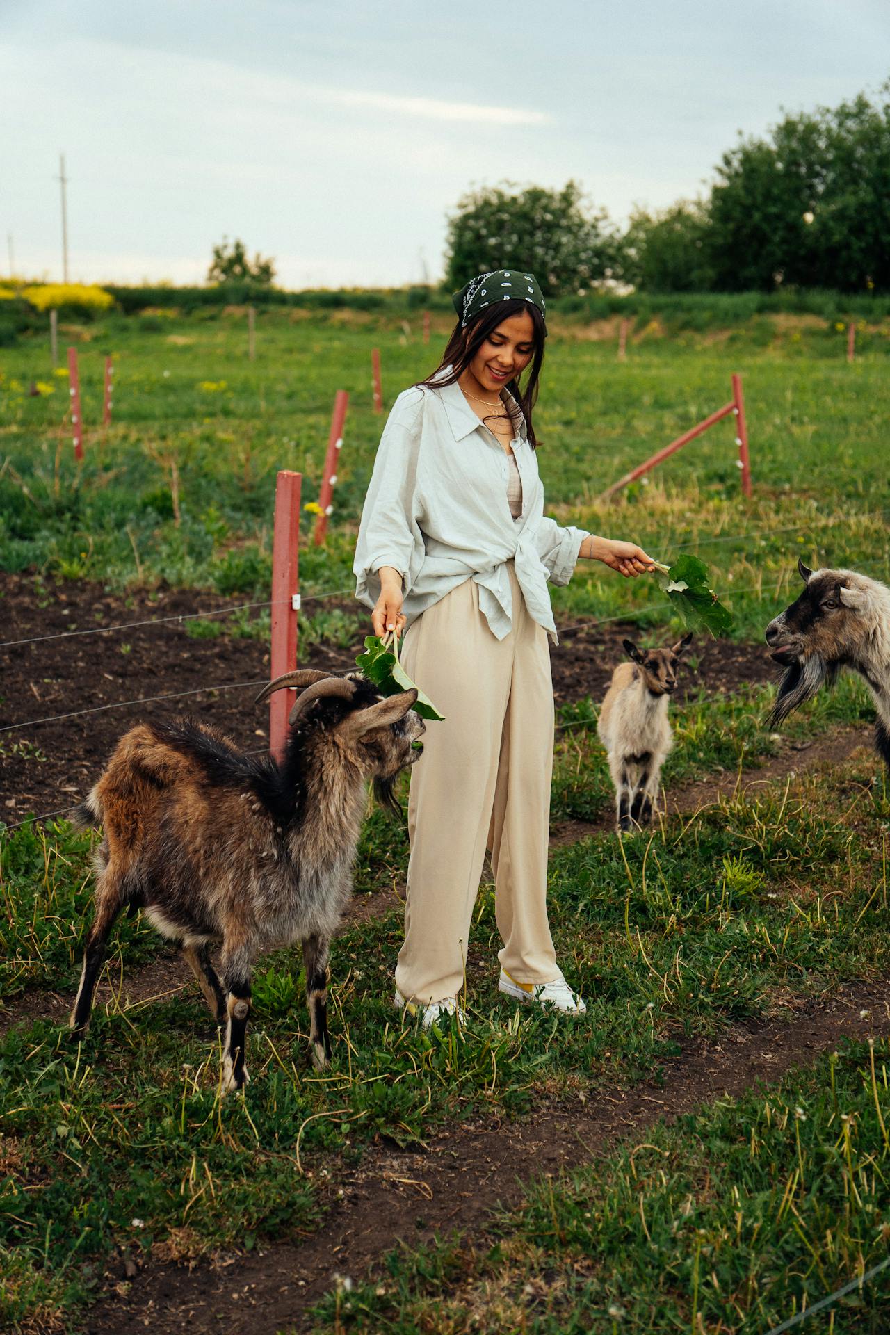 A women around goats
