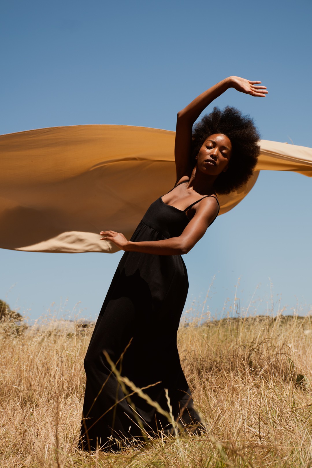 Two Men Using Laptop