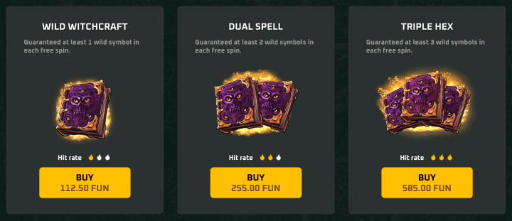 Wild Witches — écran de Bonus Buy