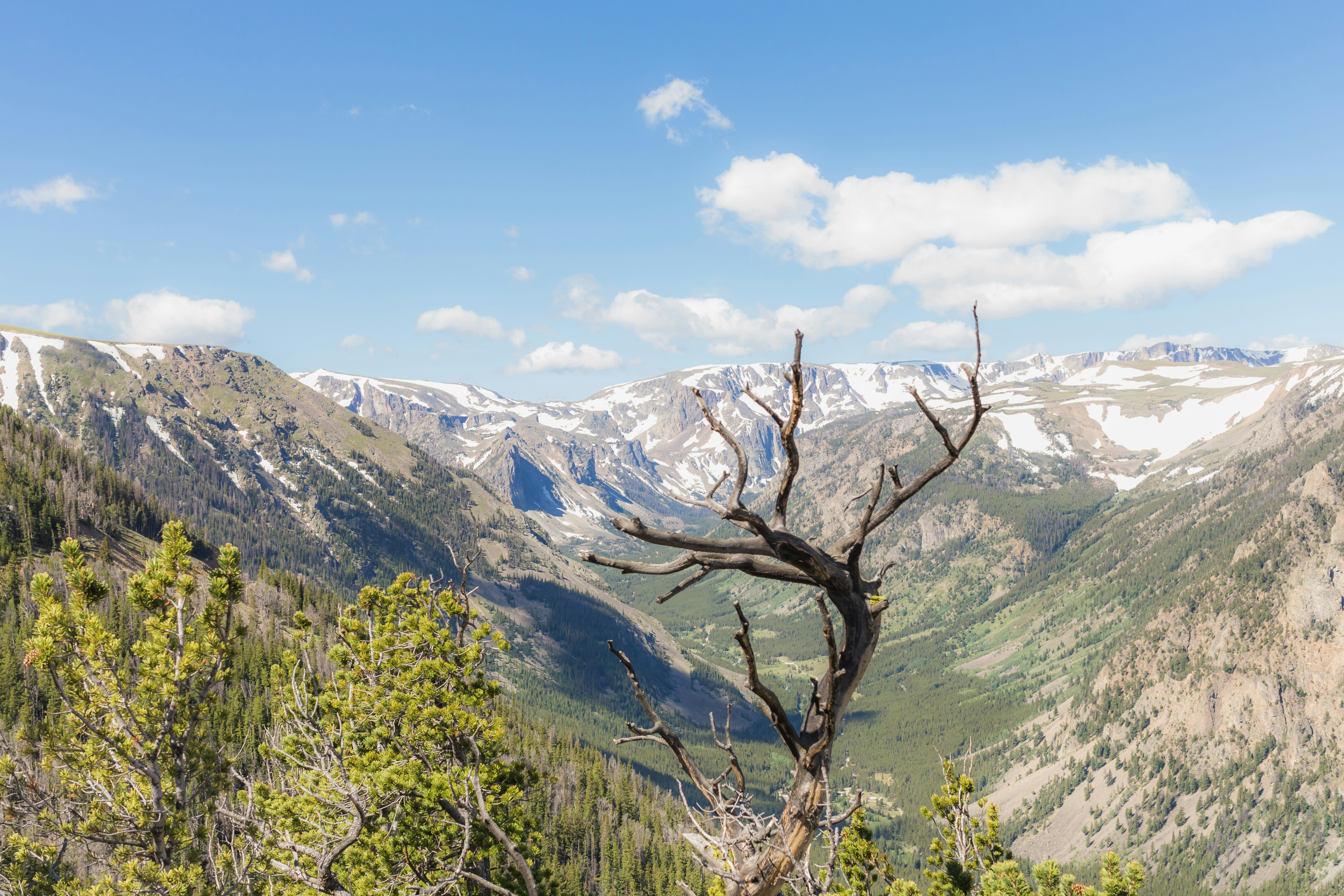 Group of green mountains with snow covering the tip