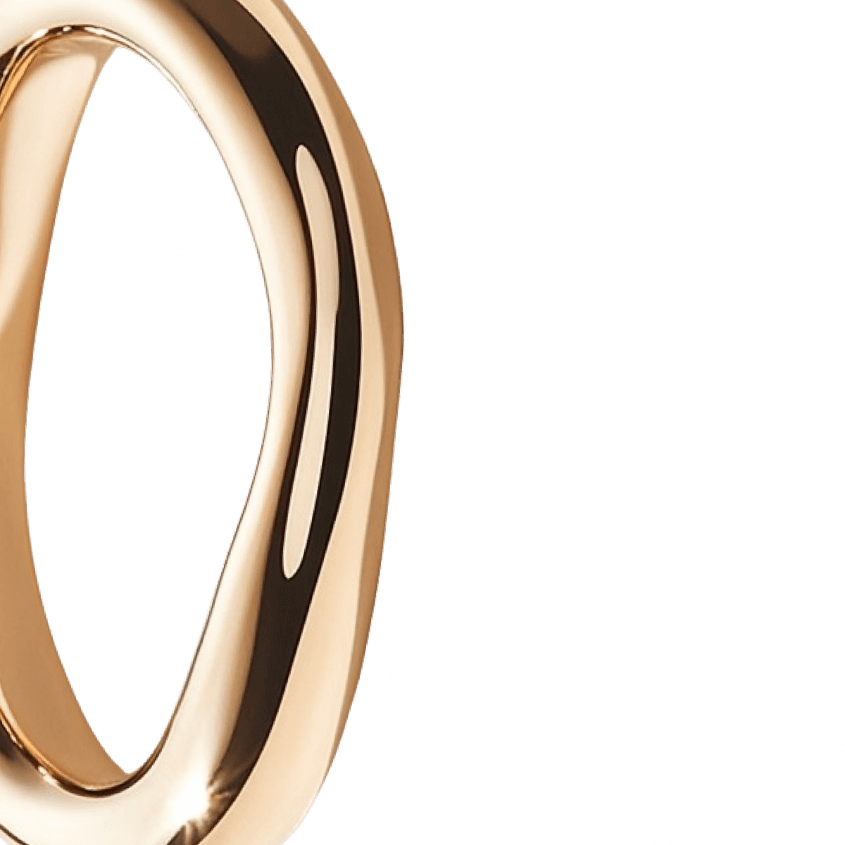 Perfect_Loop_Ring-03