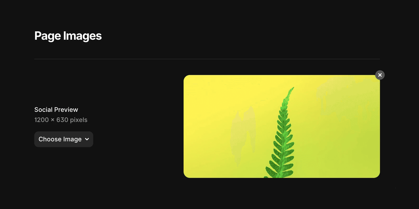 A green fern leaf centered on a bright yellow background in Framer's Social Preview image picker, showing the 1200 × 630 pixel format with a "Choose Image" dropdown button