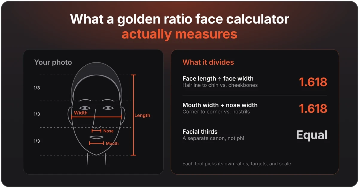 Diagram of what a golden ratio face calculator measures: face length, width, nose and mouth