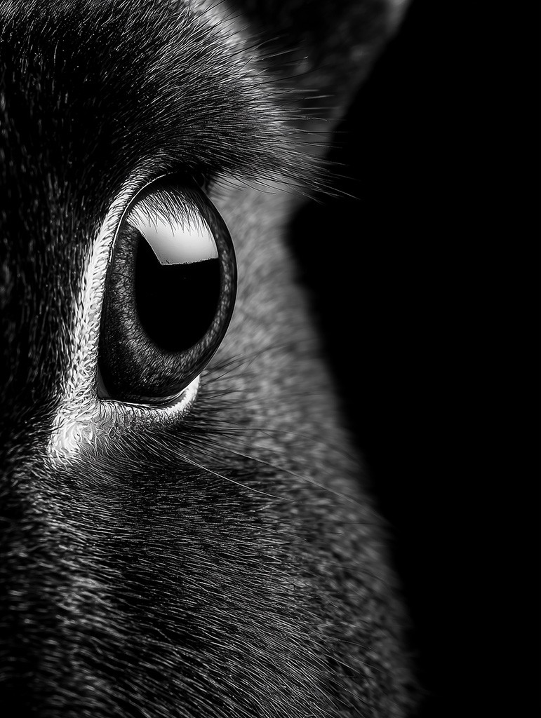 Kompletan vizuelni identitet brenda i kreativna strategija