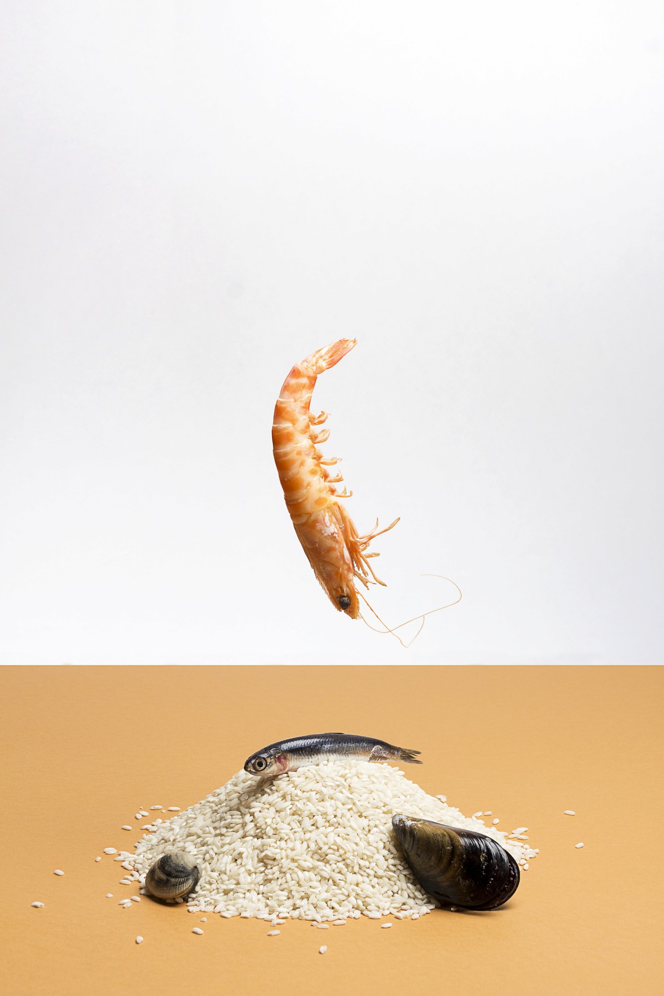 Nature morte studio sur une table au fond orange d'ingrédients mis en scène comme une crevette suspendue au-dessus d'un tas de grain de ris dans lequel sont disposé une sardin, une moule et une palourde