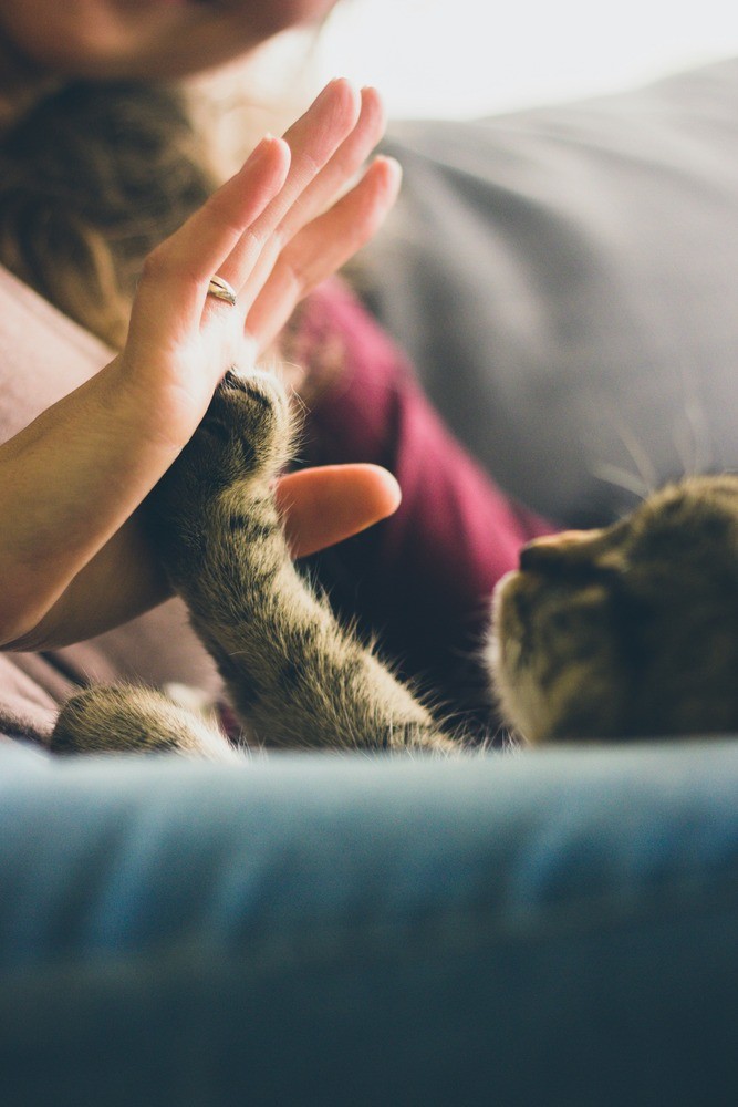 Woman with her cat