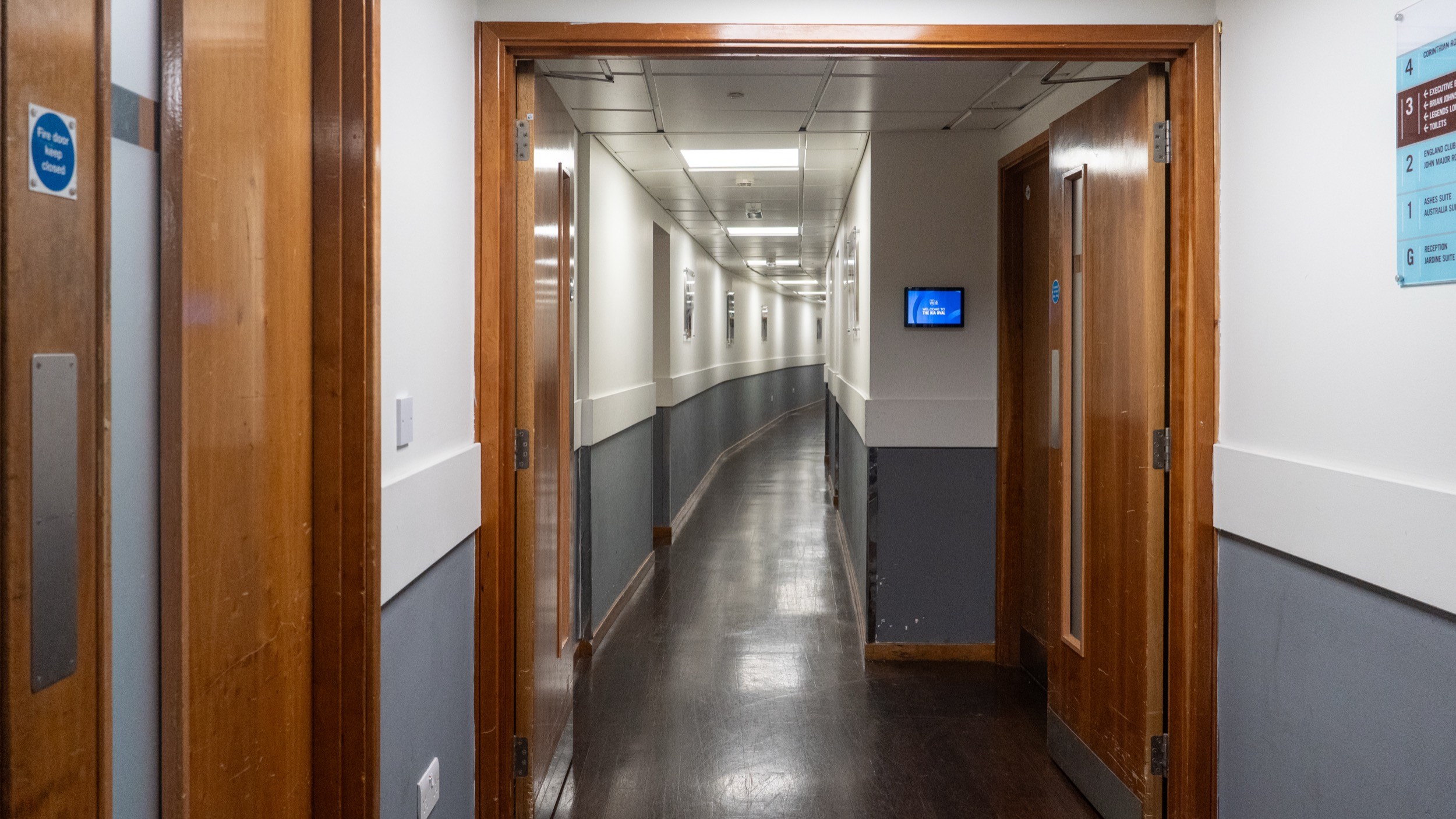 Two classic volkswagen beetles, one green, one cream.