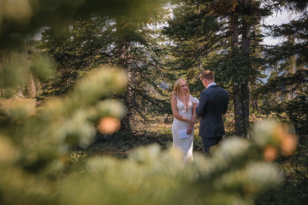 Newlyweds facing each other among evergreen trees