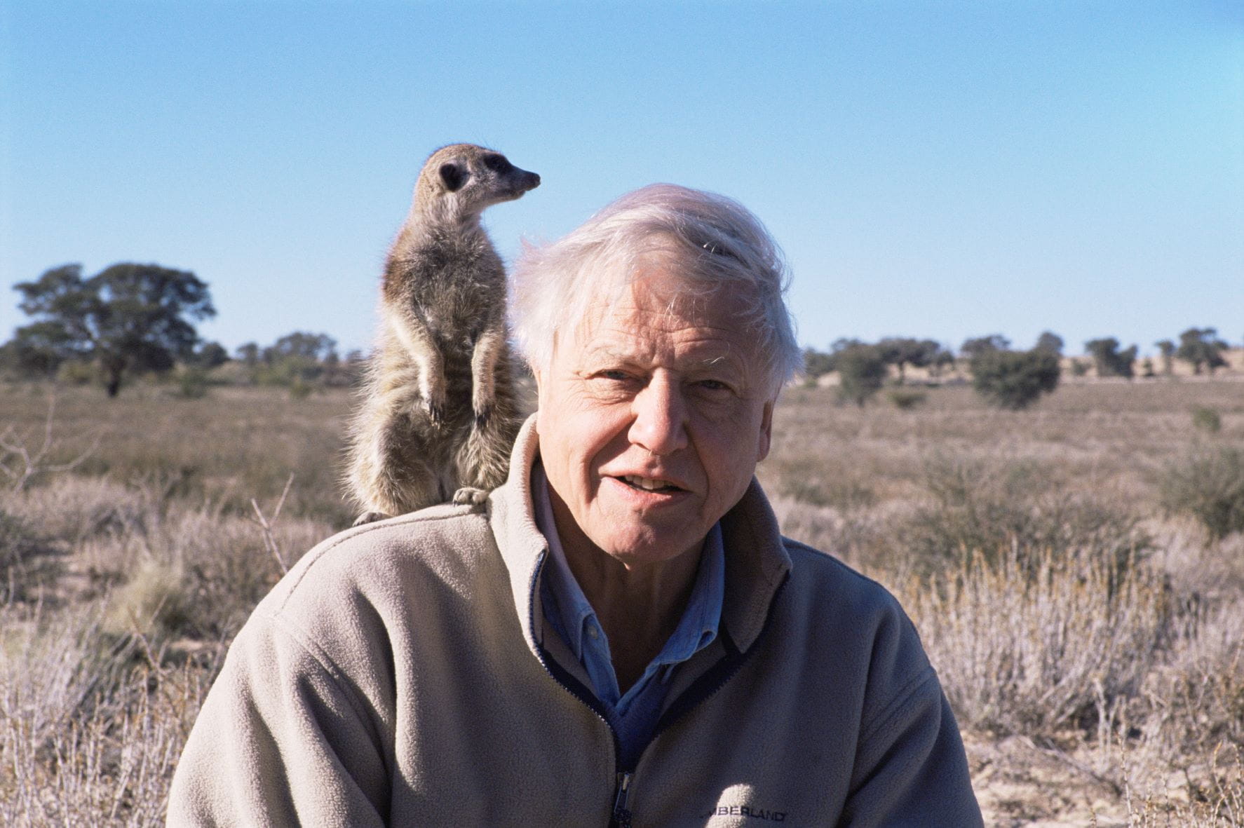 Sir David Attenborough, legendary natural historian, celebrates his 100th birthday