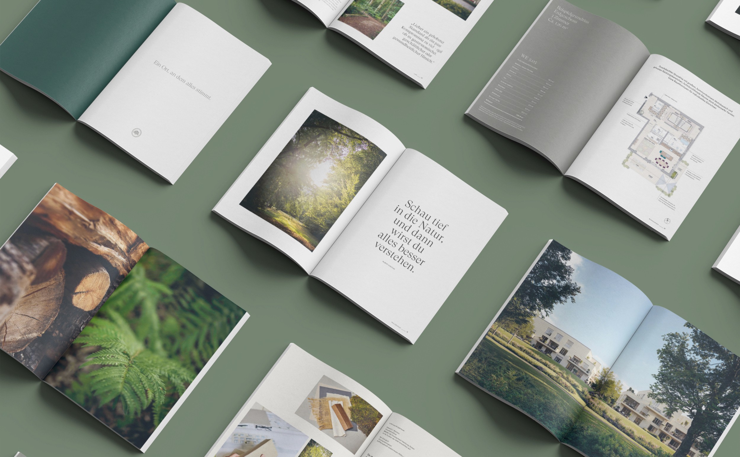 Gedruckte Vertriebsbroschüren und Exposés für das Projekt Gut Leeven, arrangiert auf einem salbeigrünen Hintergrund. Gezeigt werden Typografie-Konzepte, Grundrisse und Naturfotografie.