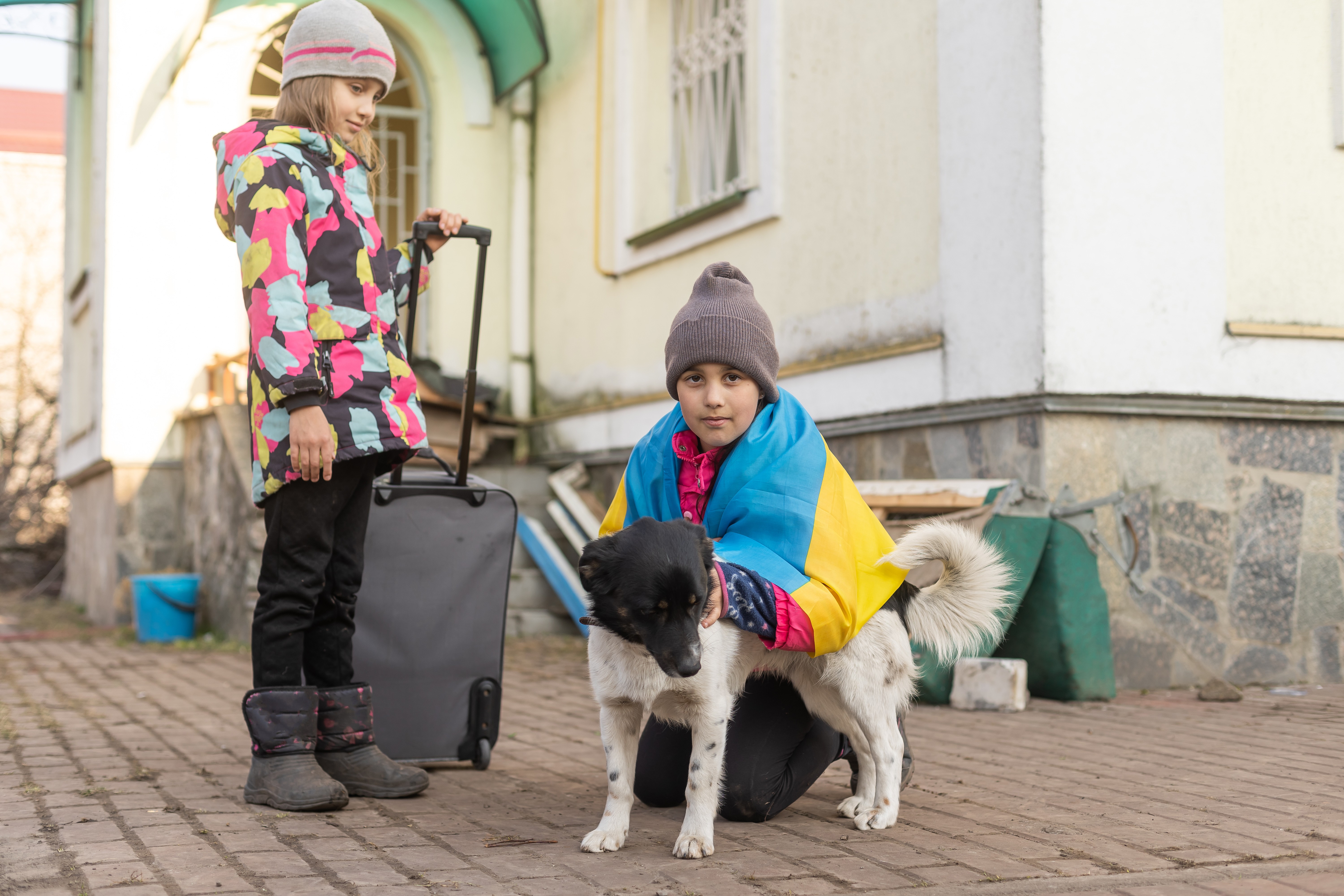 Ukrainian mother and child with luggage and a dog sitting on the sidewalk near a building in the Netherlands, symbolizing temporary accommodation for displaced people.