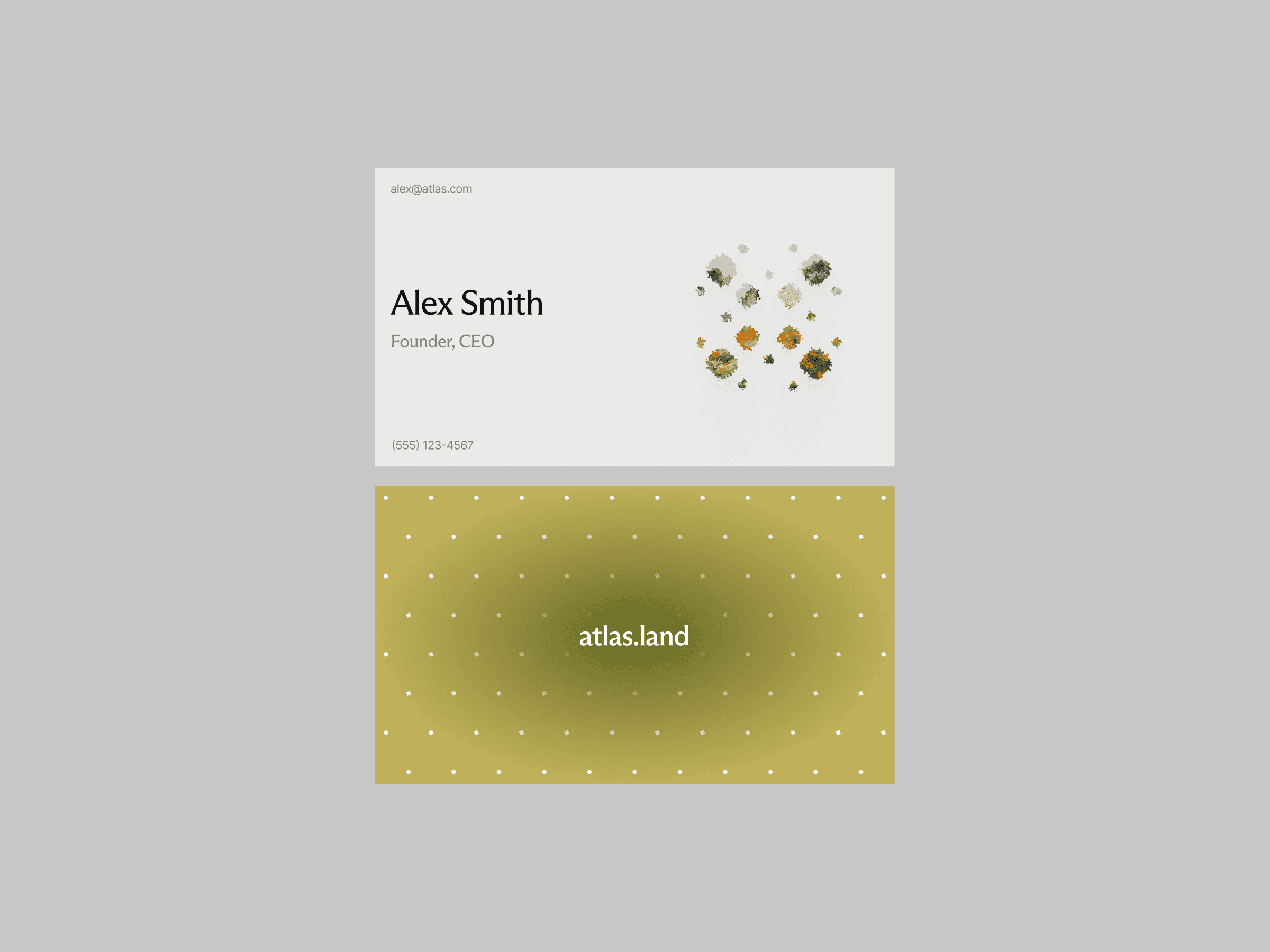 Atlas.land: Aanpak (ontwerp)