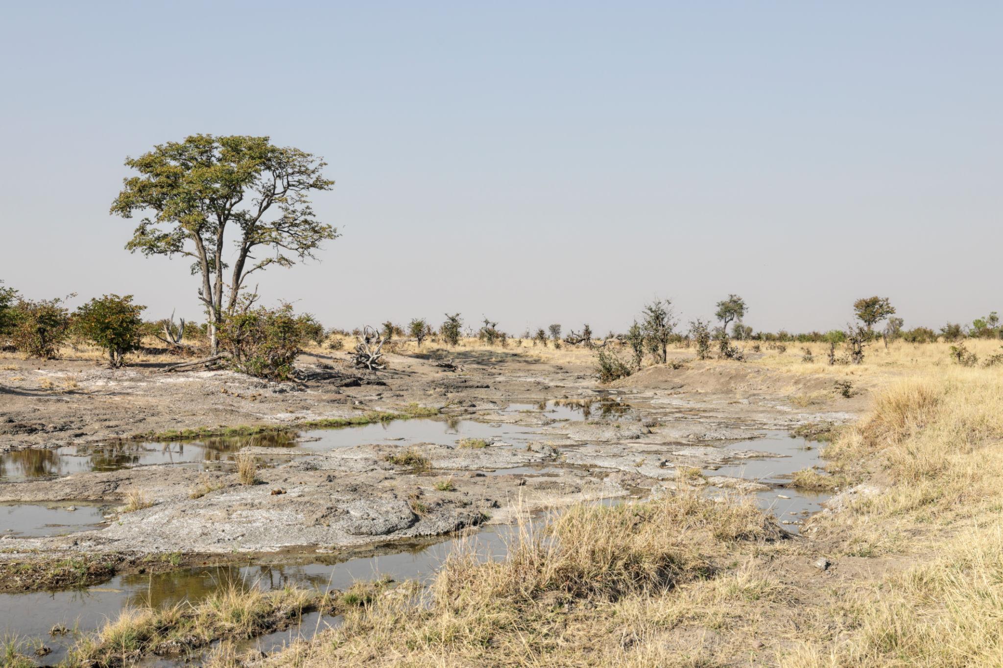 Hwange National Park