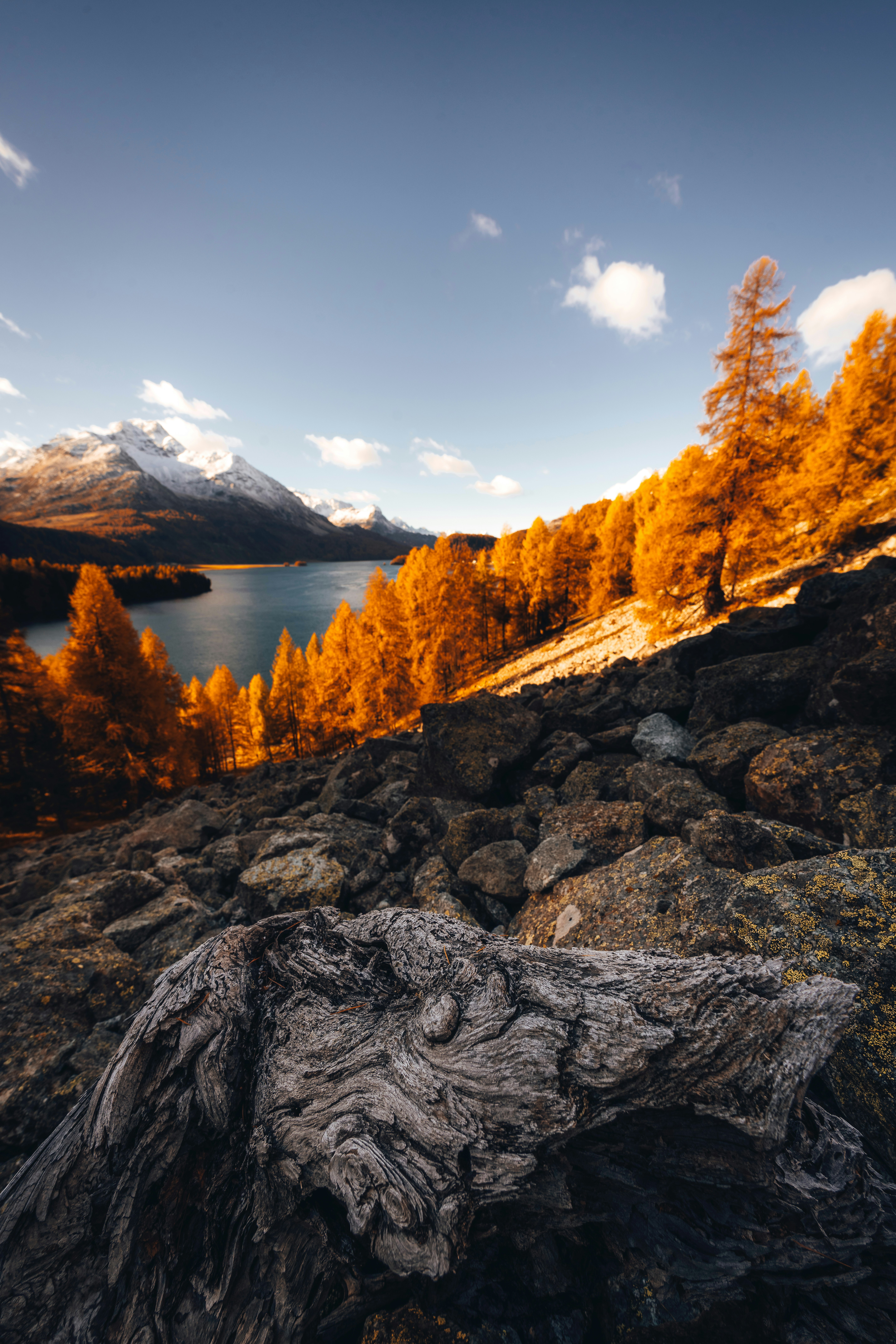 Golden autumn trees overlook a serene mountain lake.
