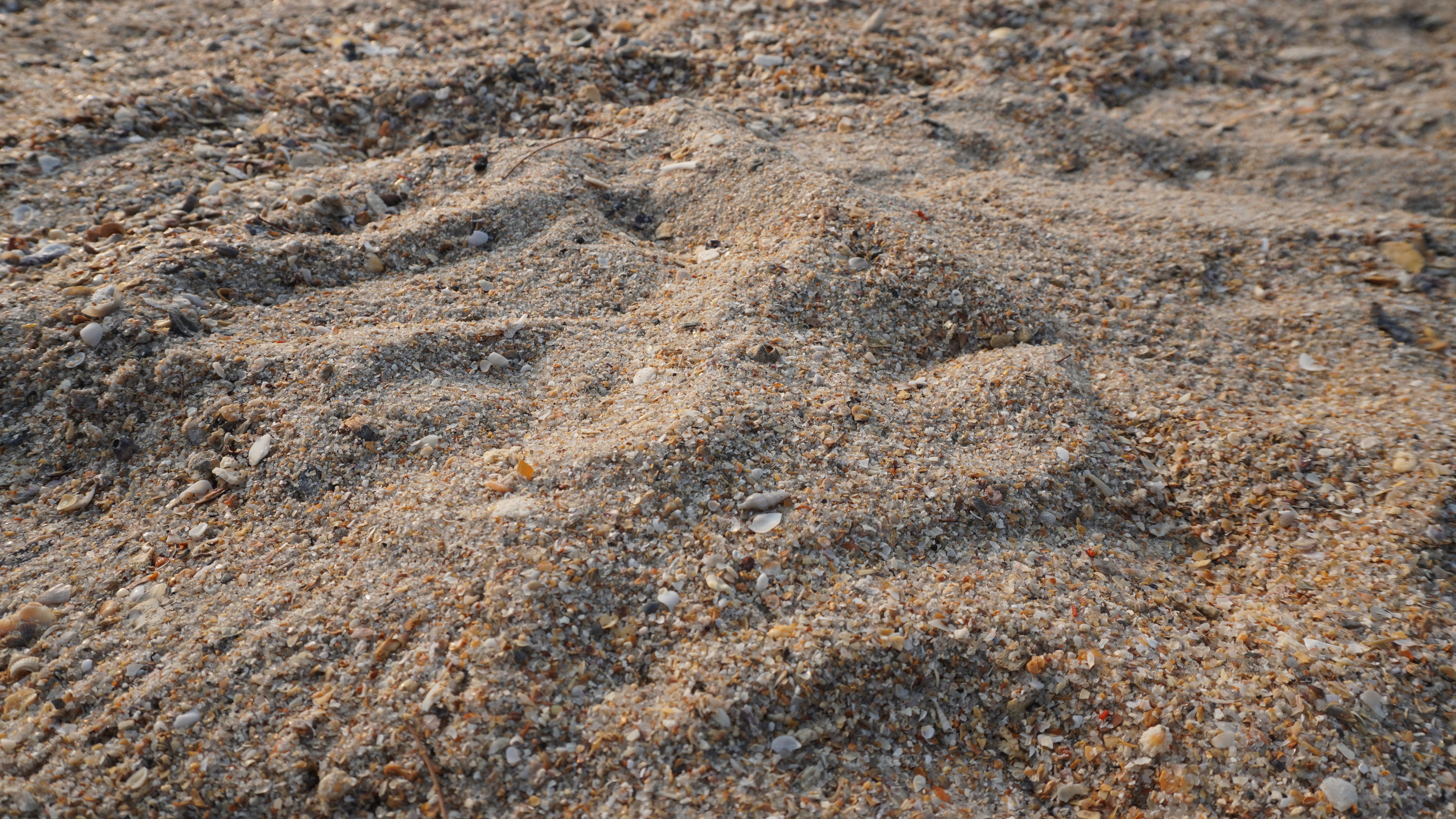 Screening Mineral Sands