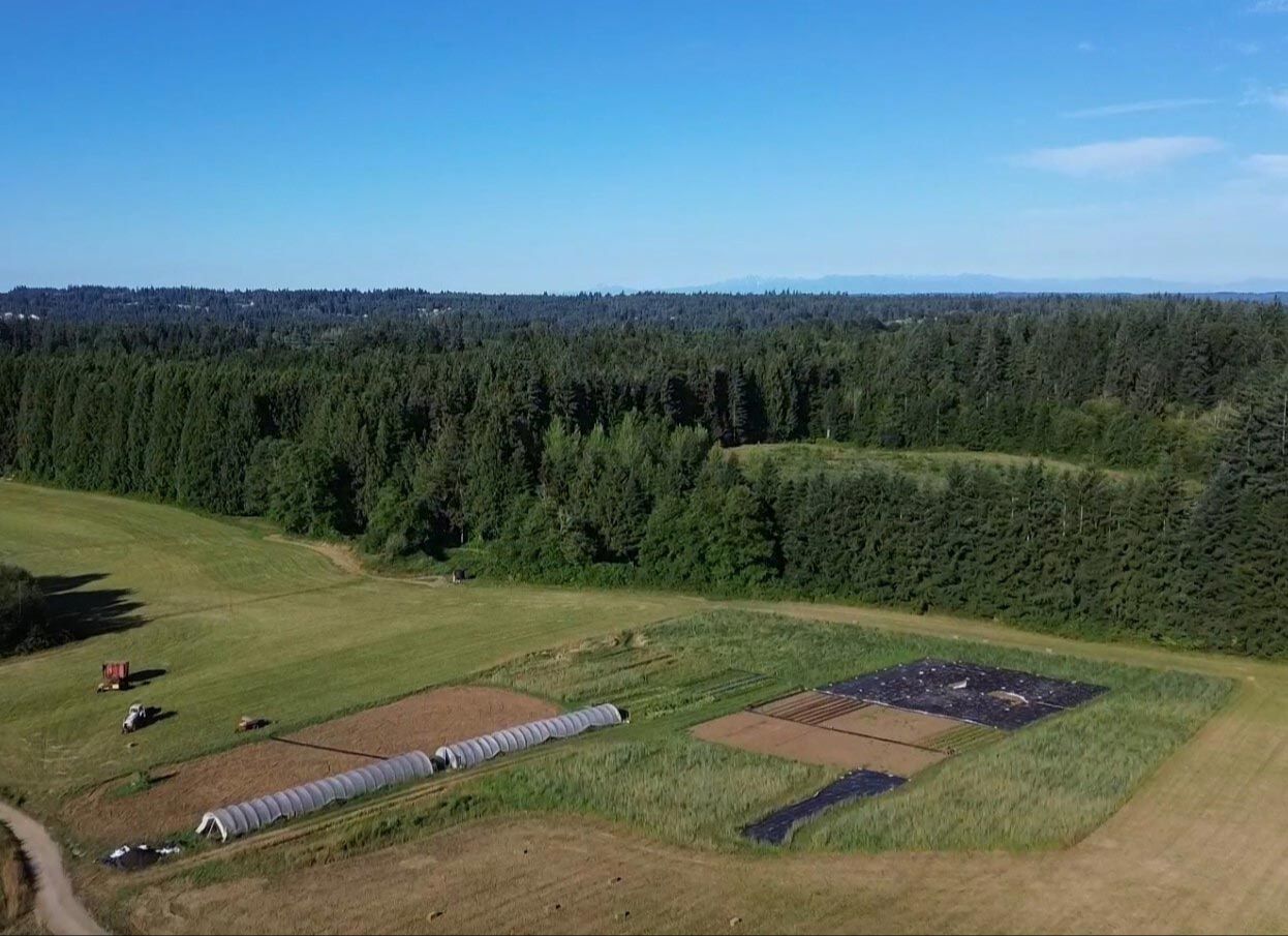 Cultivated fields and surrounding landscape at Reconnecting Roots Farm.
