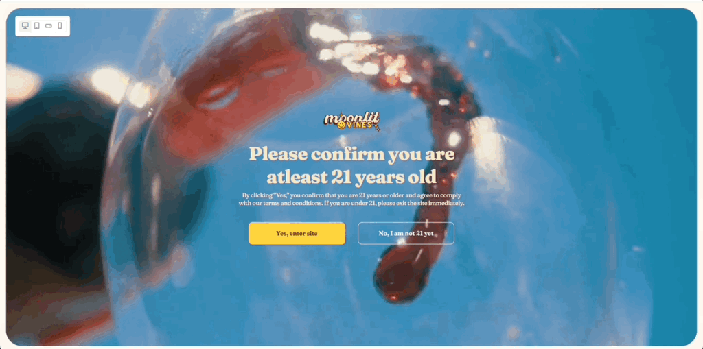 Age Verification
