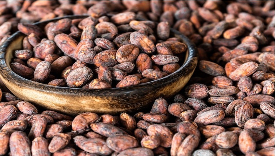 Fèves de cacao séchées