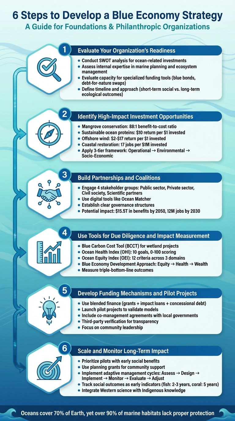 6 Steps to Develop a Blue Economy Strategy for Philanthropic Organizations