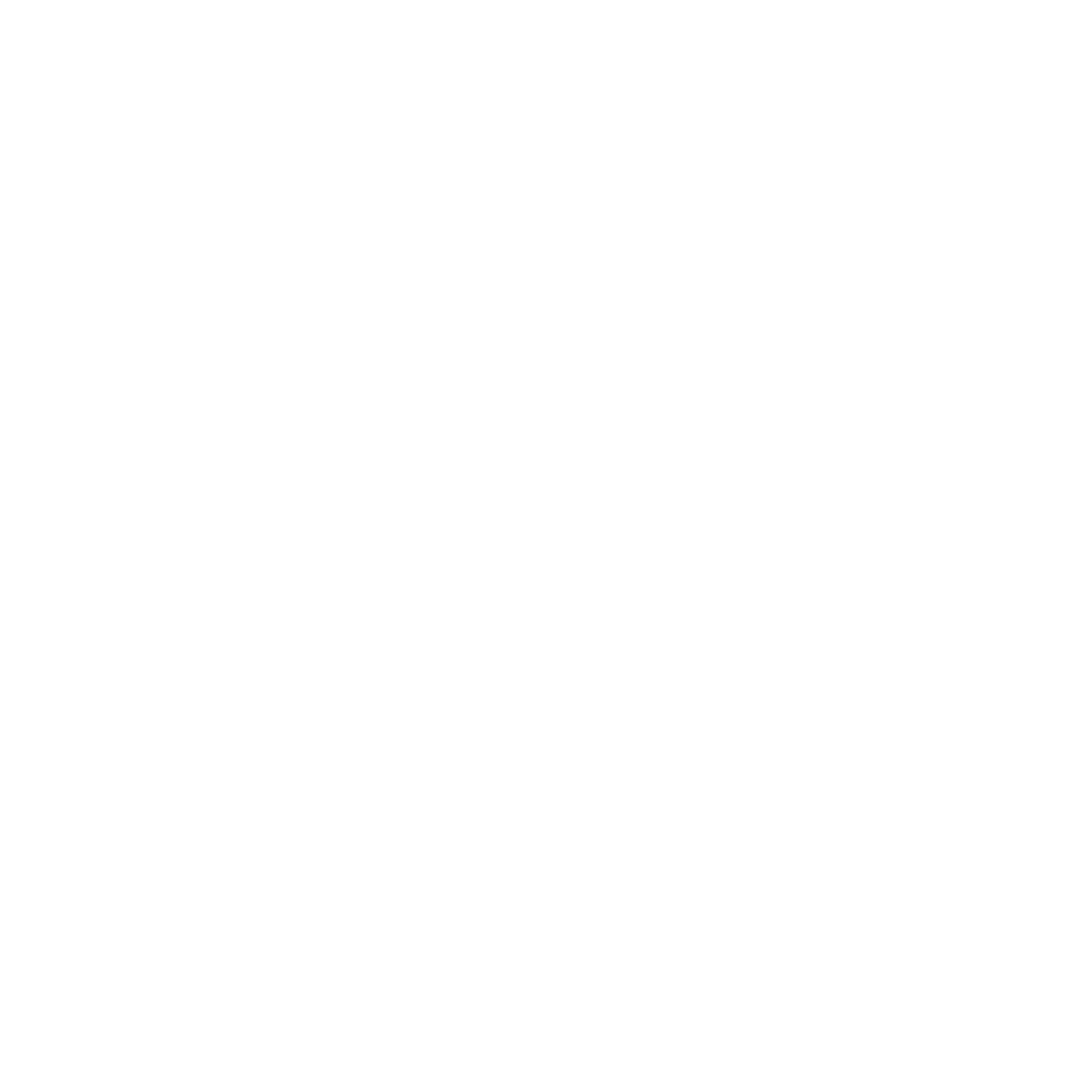 Social Icon