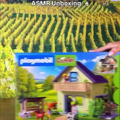 Une photo Instagram de Playmobil