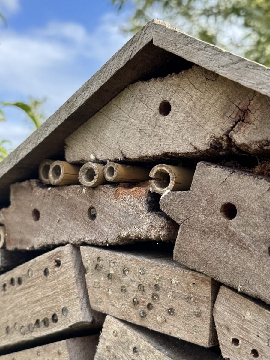 Detail van het dak en de nestgangen van de insectenherberg