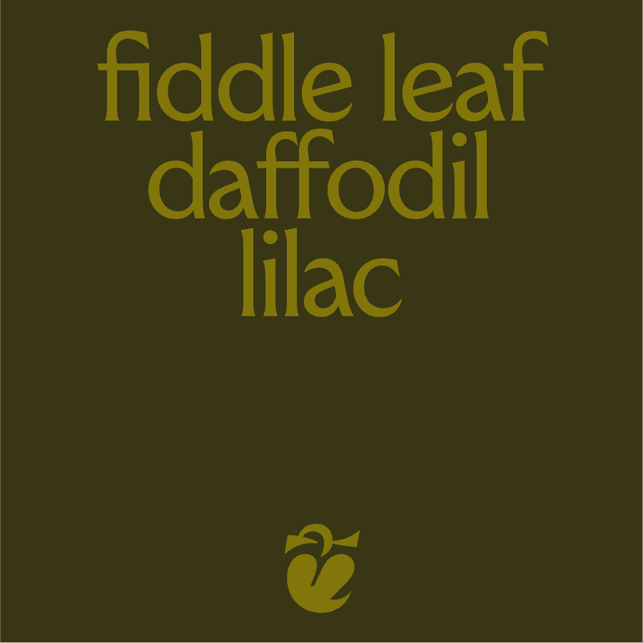 "Fiddle leaf, Daffodil, lilac" Magik Typeface demonstration.