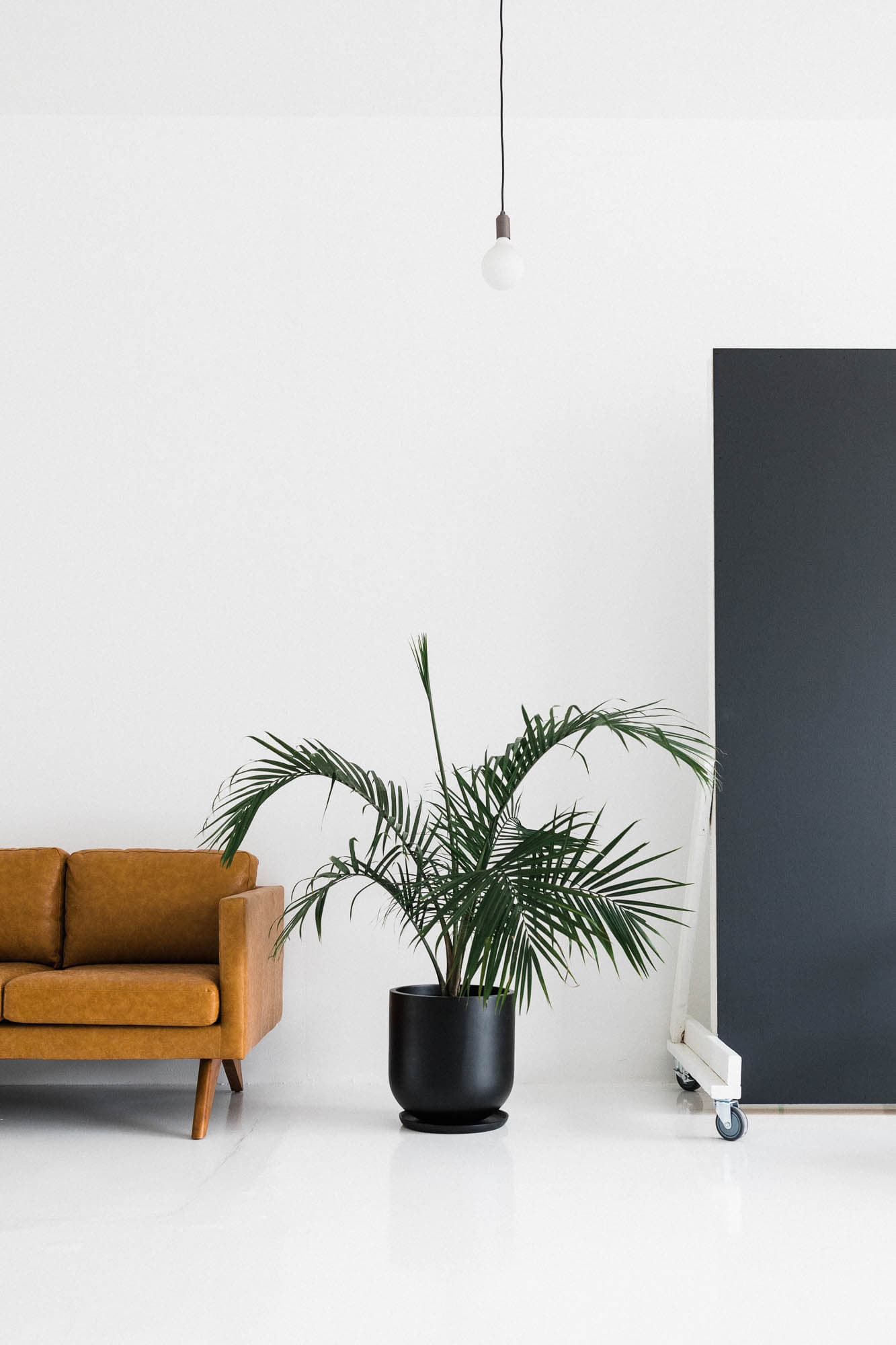 A minimalistic shot of a leather couch and a black planter, showcasing Revelator Studio’s clean and bright natural light setup in Shreveport.