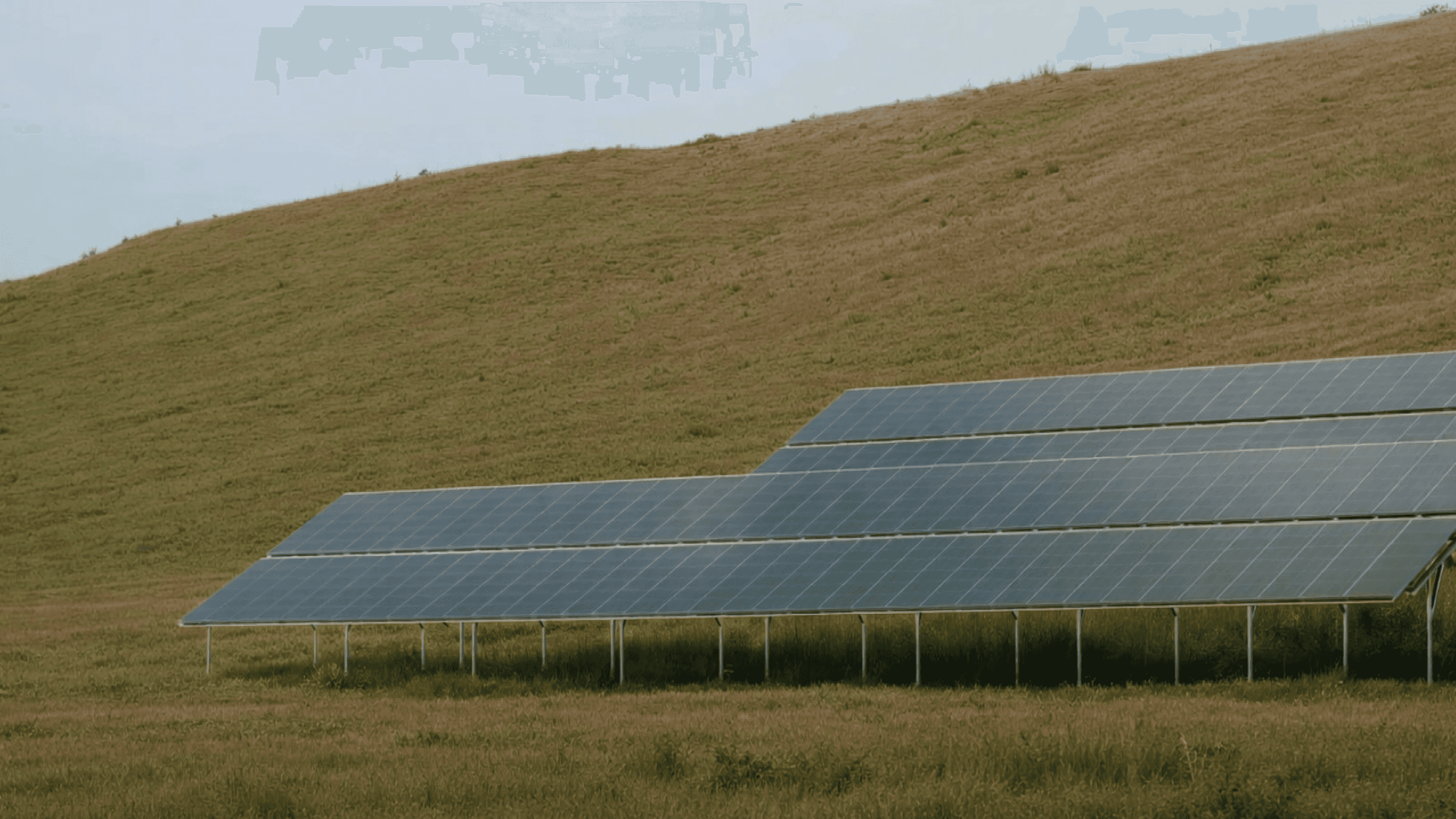 aerial photography of grass field with blue solar panels