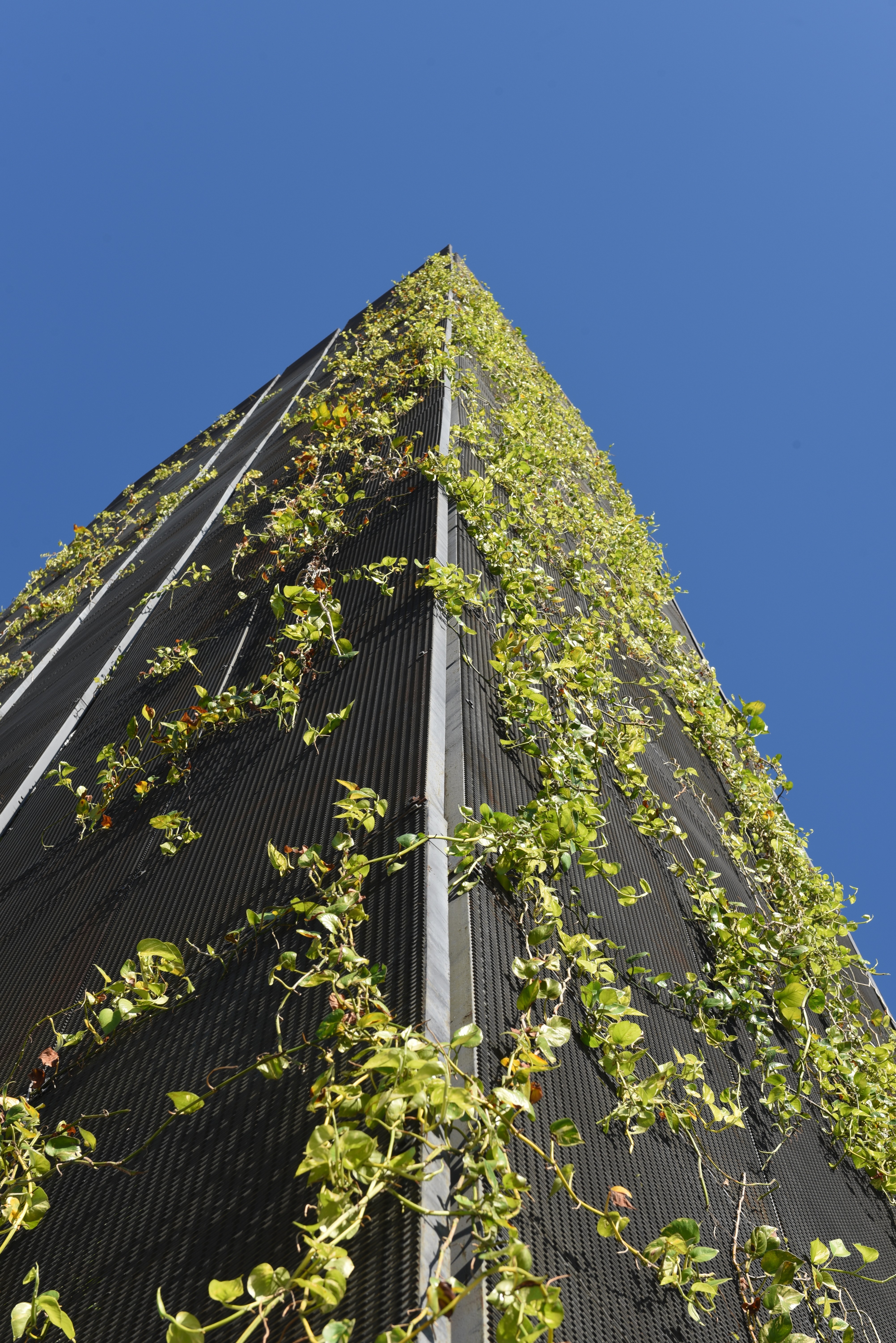 Exterior view of Ibis Style Hotel project by Asima Architects