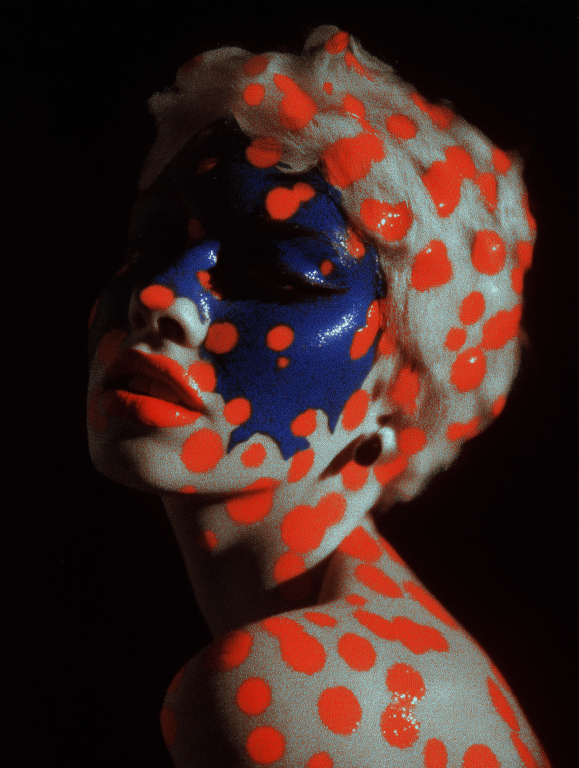 a tribute to nature’s harmony