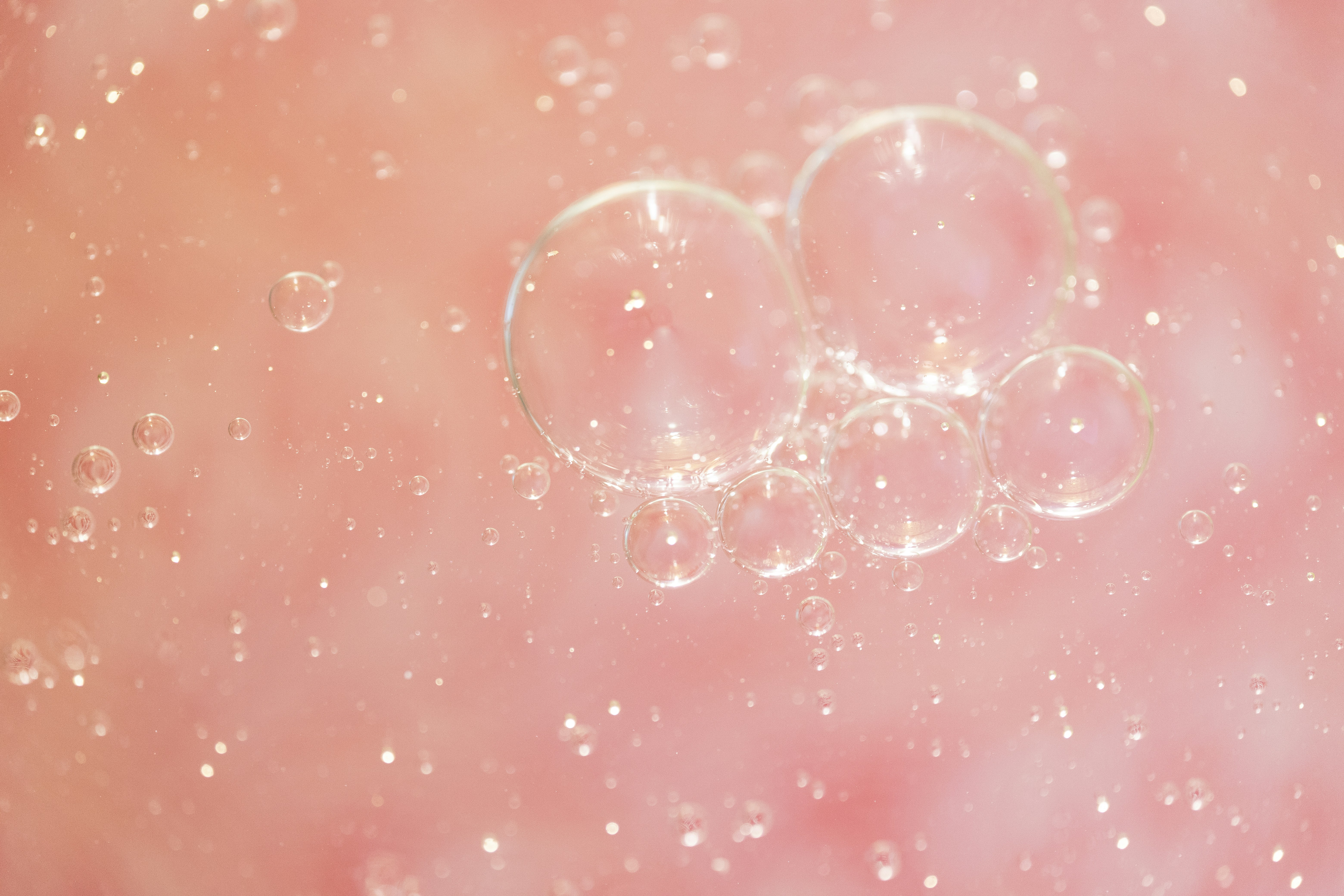 Close-up of pink bubbles floating in liquid