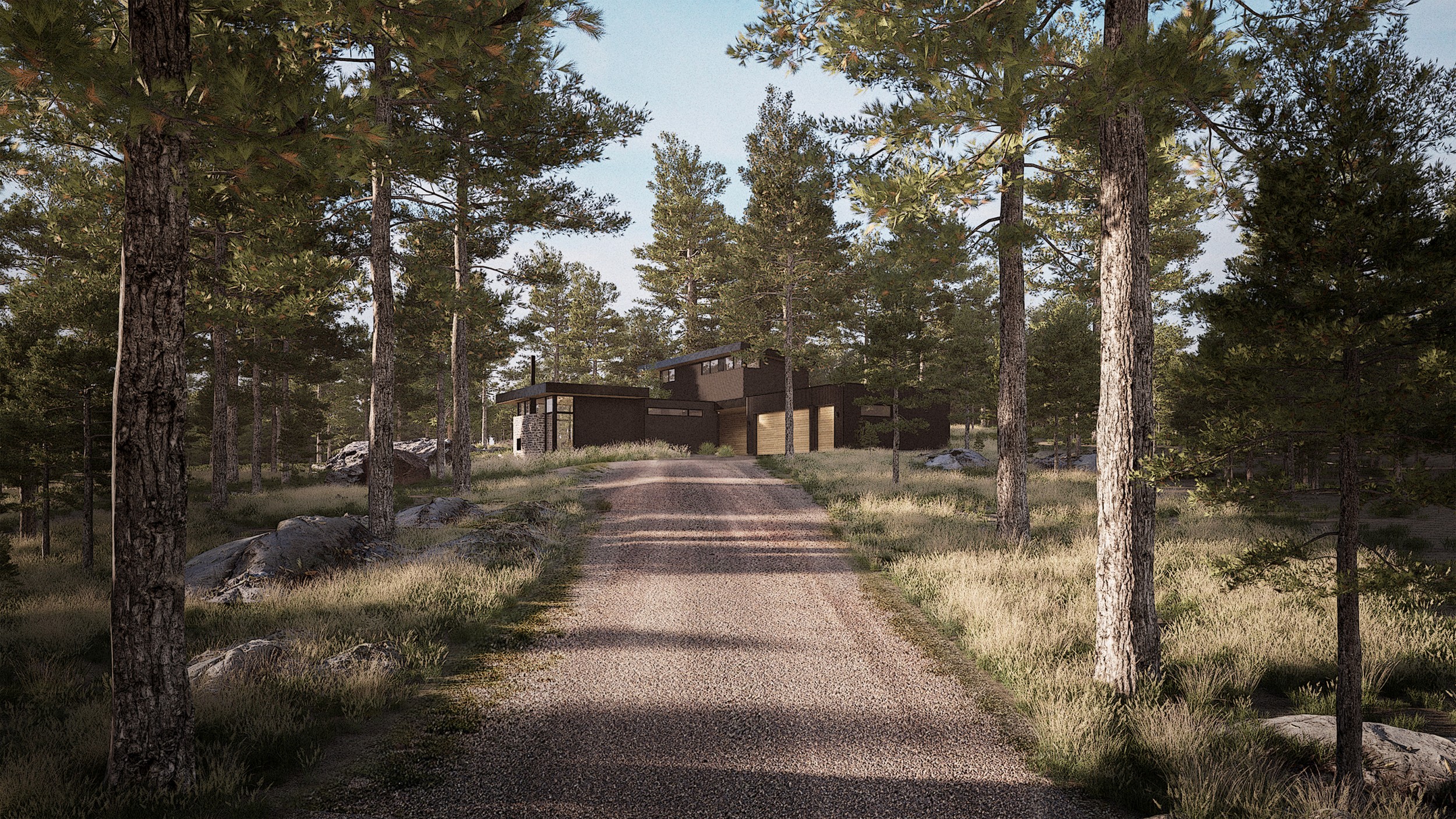 Looking down a driveway through flat ponderosa pine forest toward a dark stacked modern cabin in the distance.