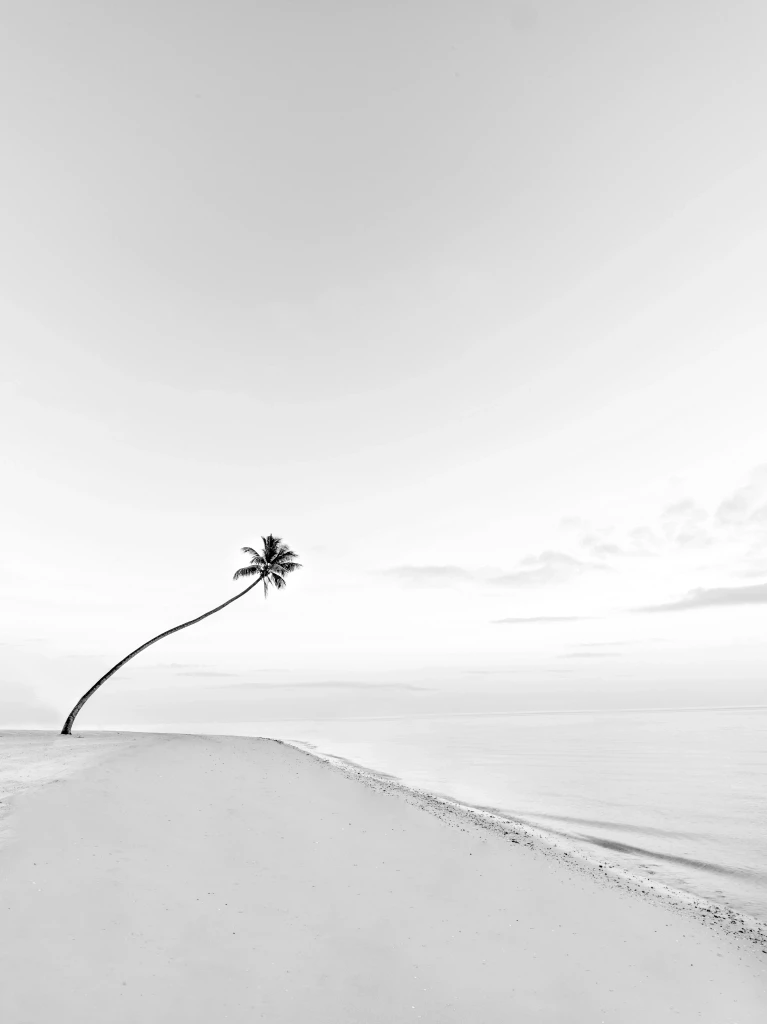 Remote white sand beach in the Fiji Islands, luxury destination for private jet charter, aircraft charter and helicopter transfers across Fiji and the South Pacific