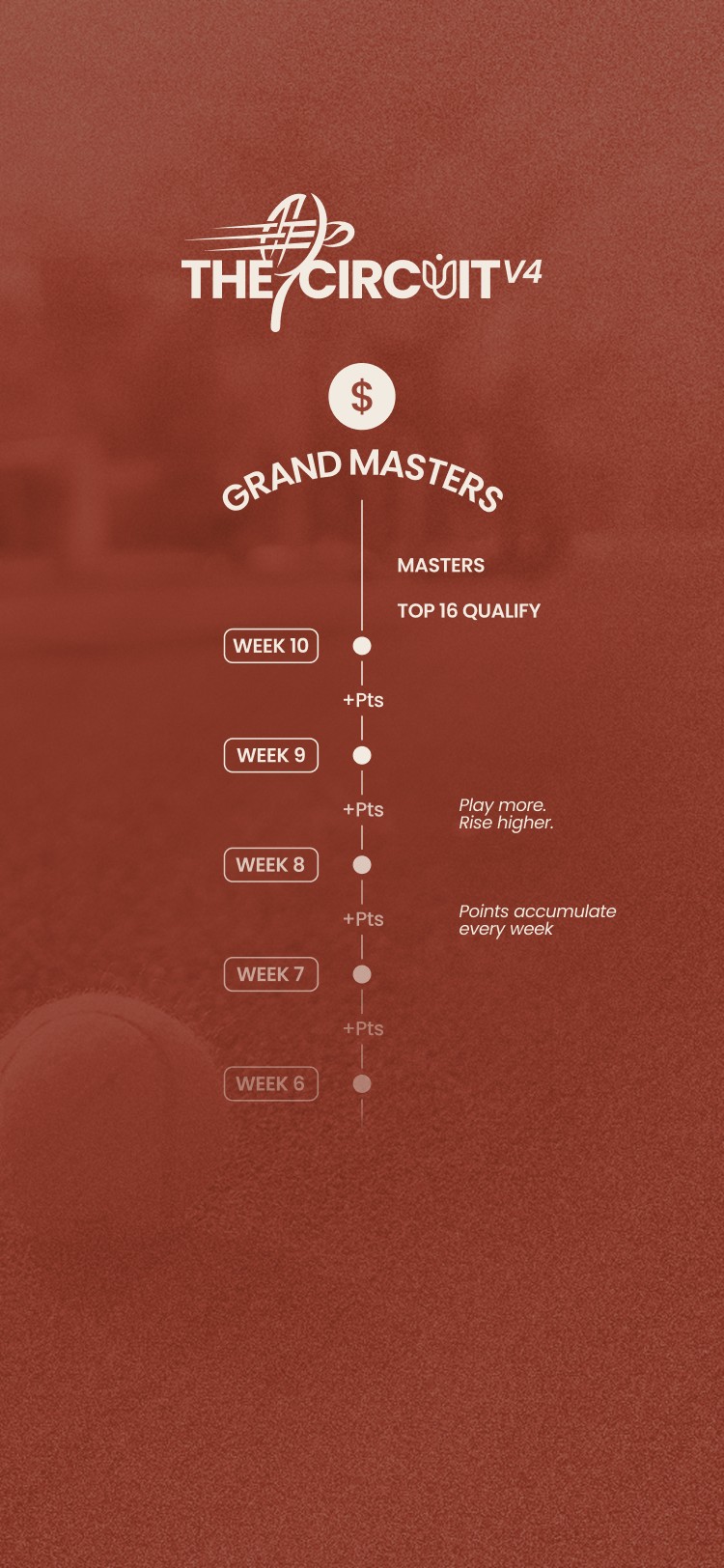 arial shot of walkway between padel courts