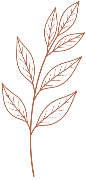 Hand-drawn botanical illustration.