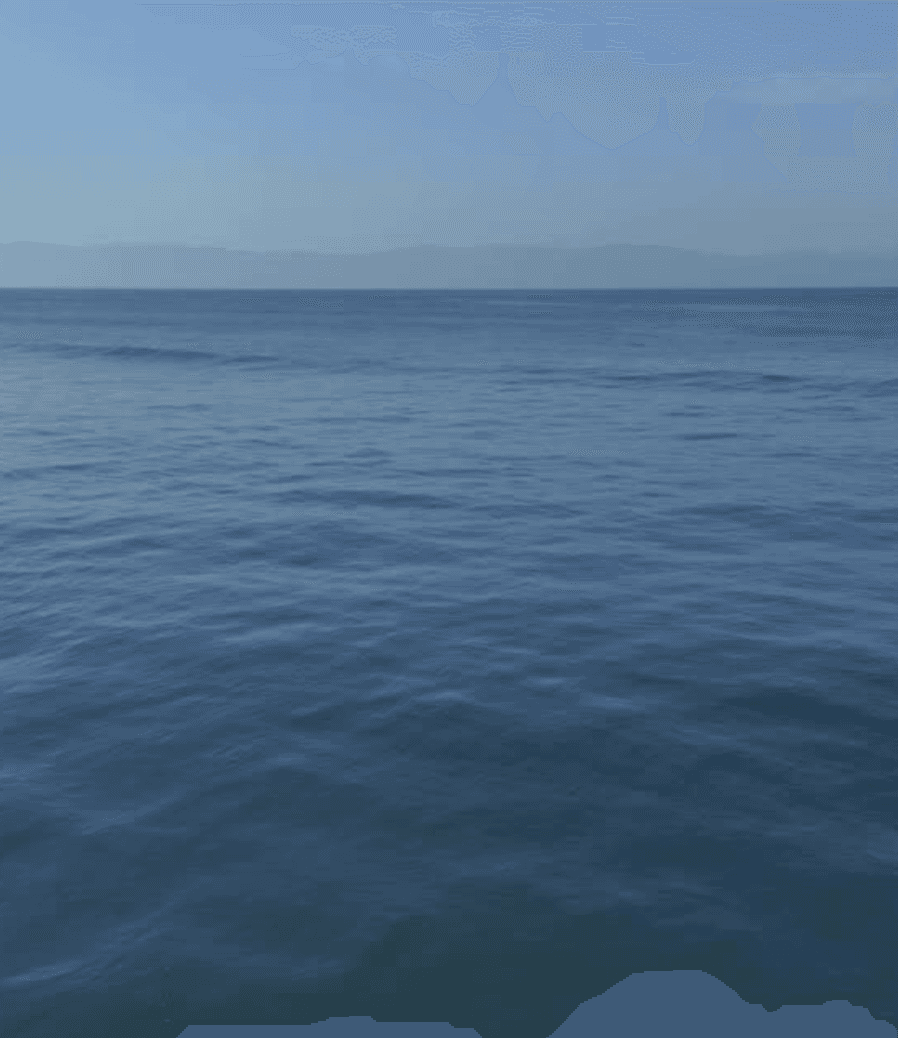 Footer image