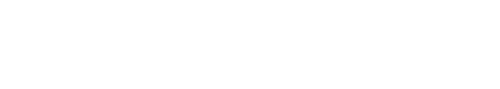 Michelangelo Digital Media — Webflow Agency Switzerland